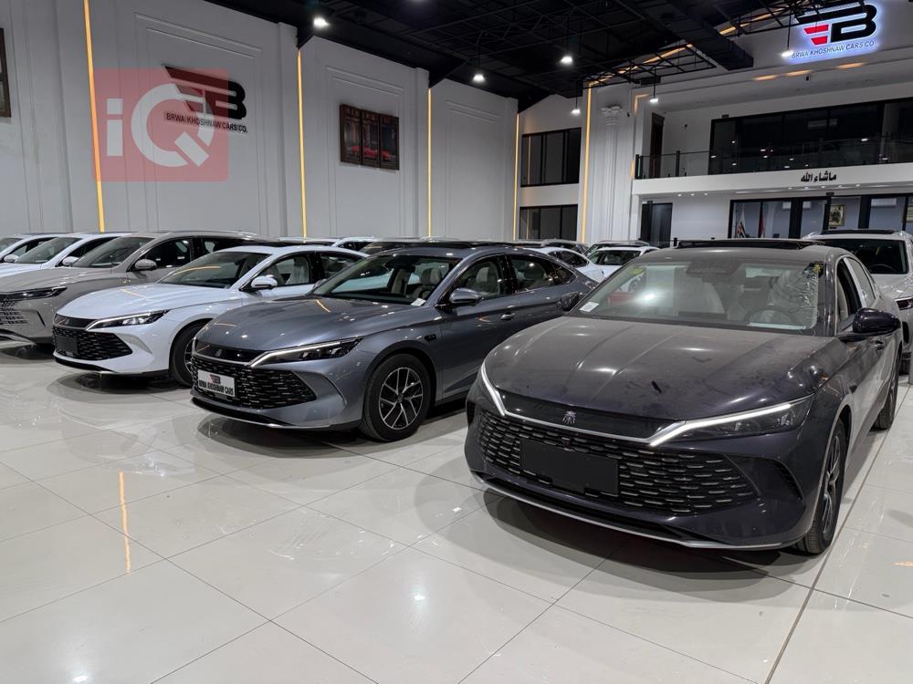 بي واي دي كوين L DM-i